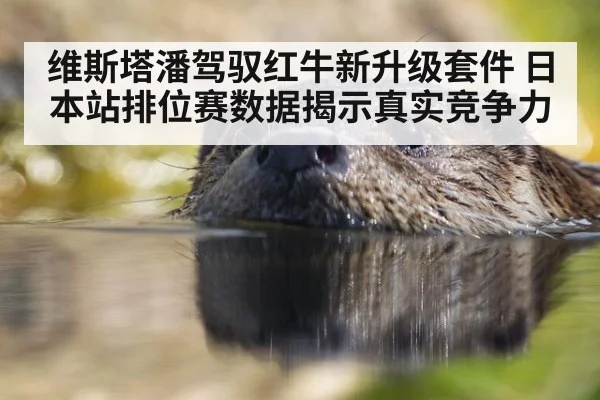 维斯塔潘驾驭红牛新升级套件 日本站排位赛数据揭示真实竞争力